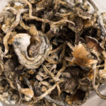 Buy Blue Meanie magic mushrooms