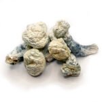 Buy Albino A+ Cubensis Dried Mushrooms Online.