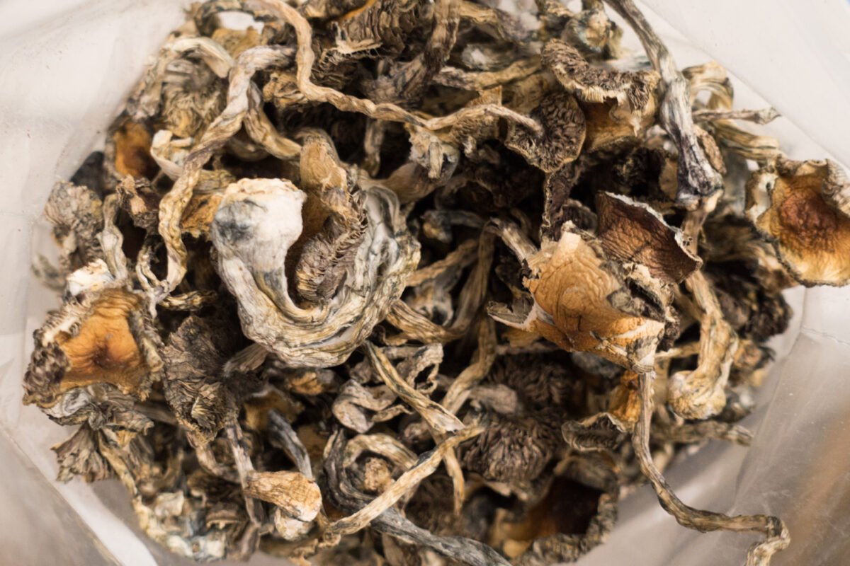 Buy Blue Meanie magic mushrooms shop Czechia