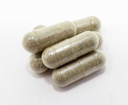 Buy Blue Meanies Mushroom Microdose