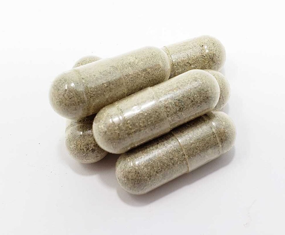 Buy Blue Meanies Mushroom Microdose
