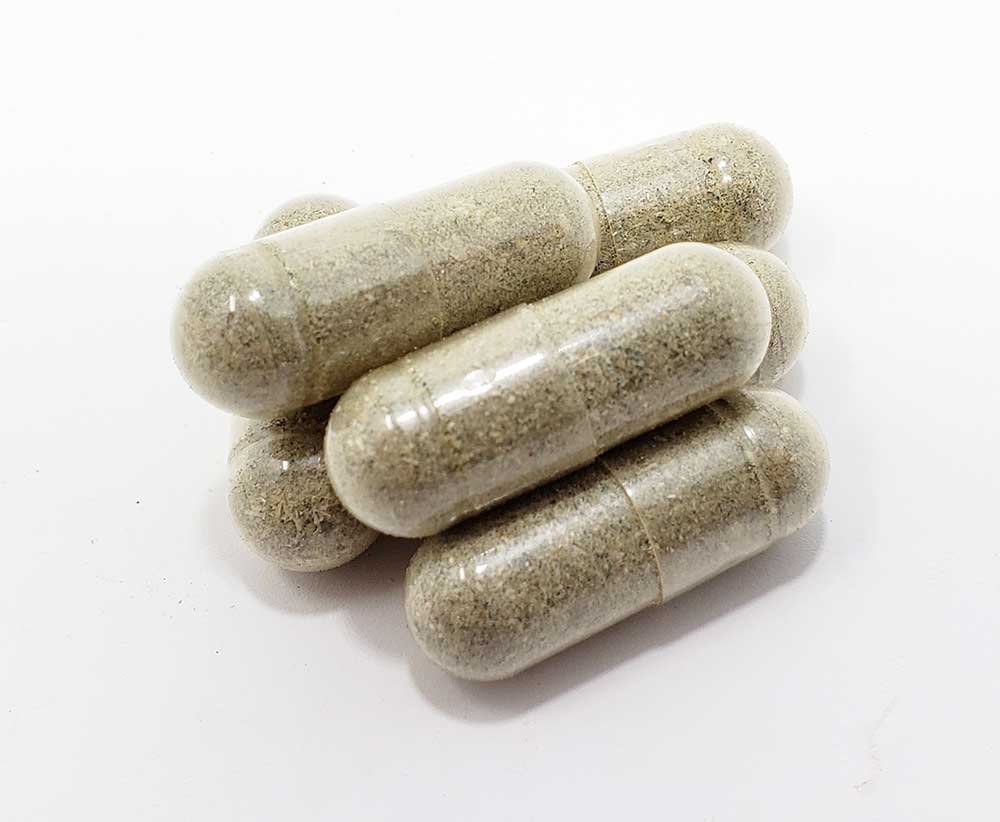 Buy Blue Meanies Mushroom Microdose